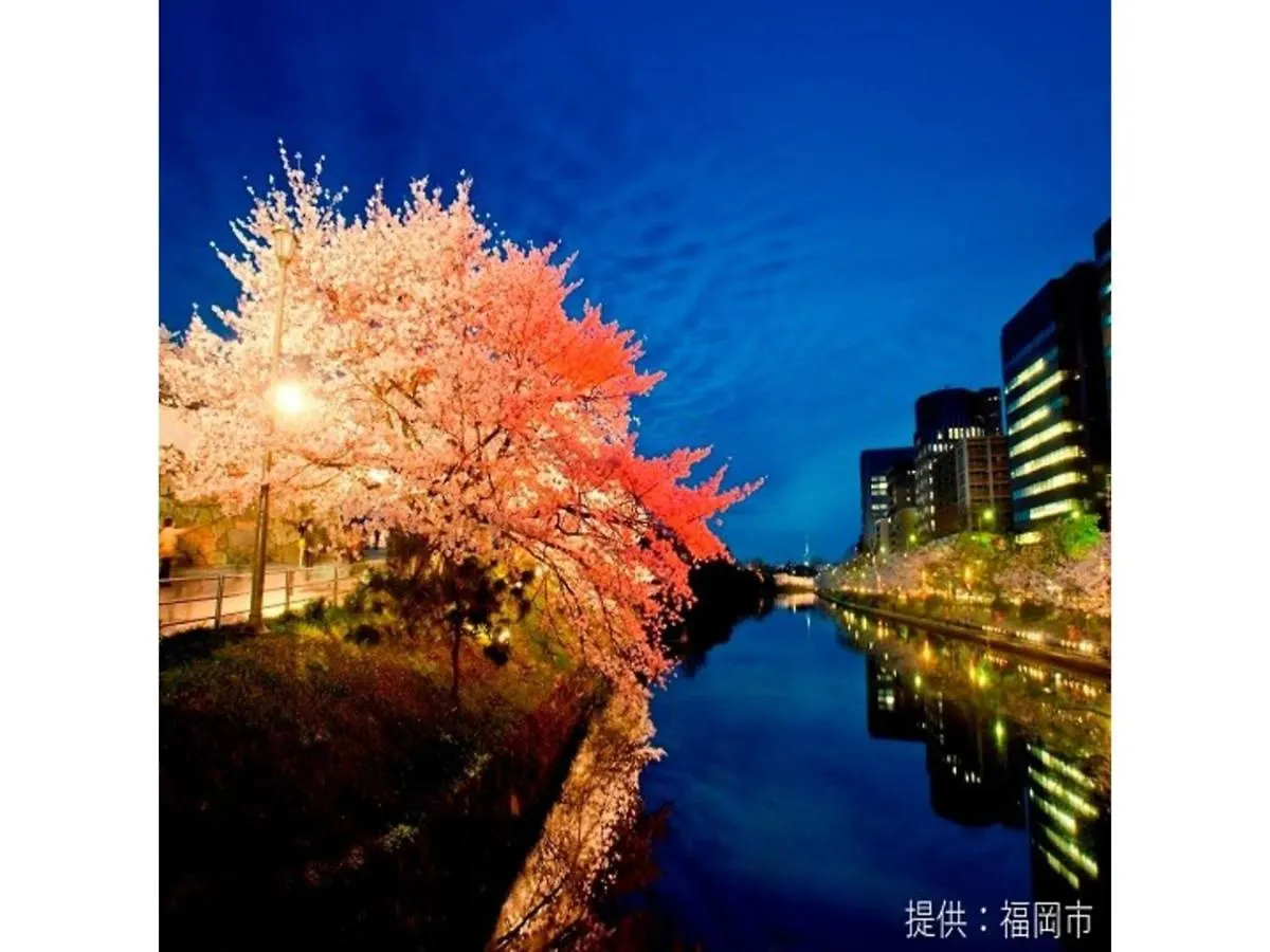 Court Hotel Fukuoka Tenjin - Vacation Stay 42329V